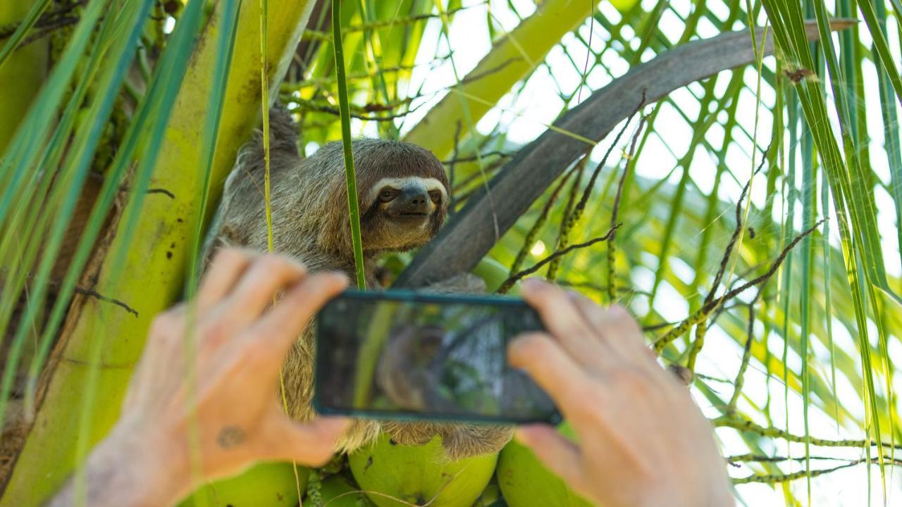 Pacaya Samiria Amazon Lodge Nauta Kültér fotó