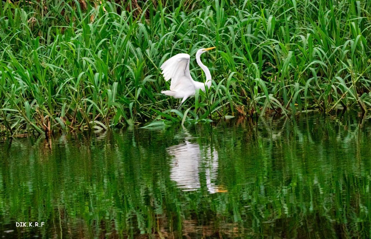 Pacaya Samiria Amazon Lodge Nauta Kültér fotó